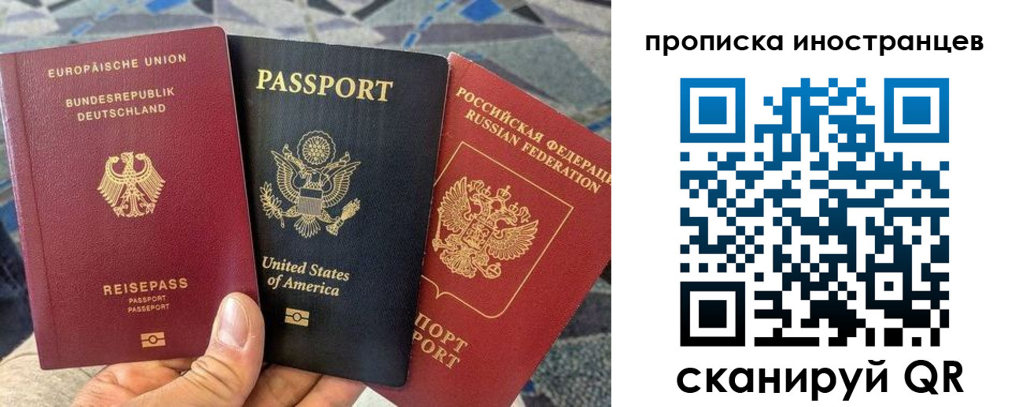 прописка поиск в Благодарном